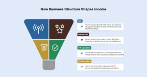 How Business Structure Shapes Income